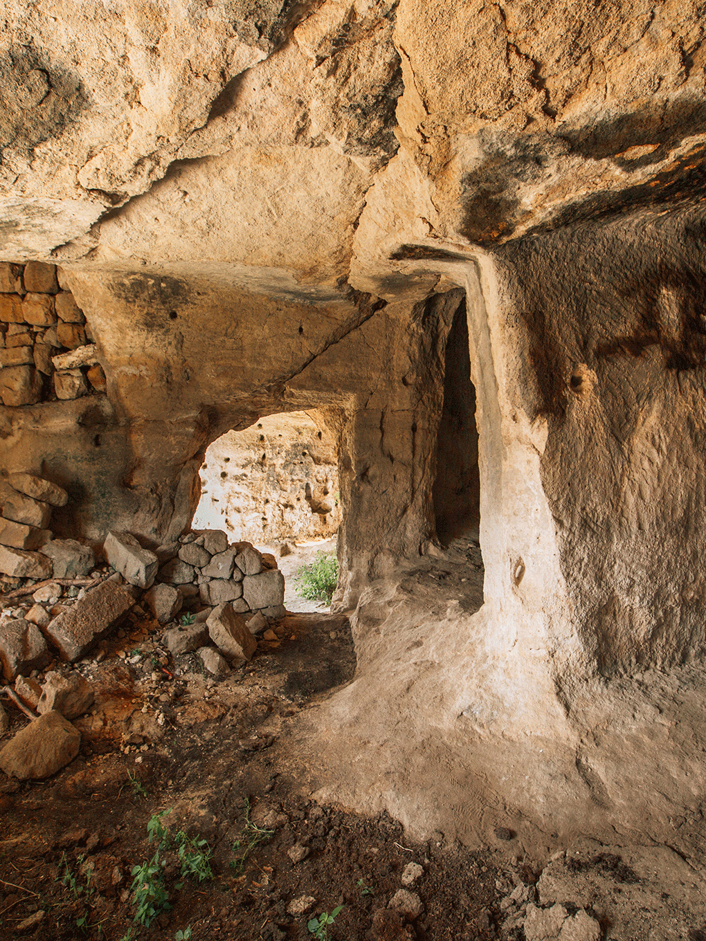 Packages | Matera Concierge